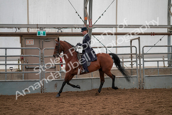 July 19, 2019 - 12990