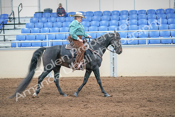 2020 - AB Morgan Horse - Sun, Sept 06 - 01638