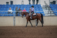 2019 Morgan Horse Show - Sept 01, 2019 - 06779