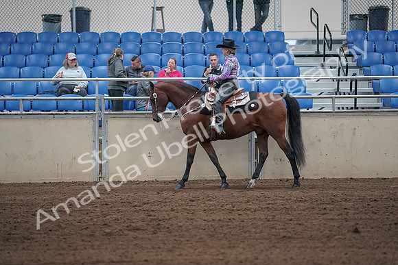 2019 Morgan Horse Show - Sept 01, 2019 - 06779