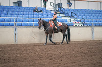 2019 Morgan Horse Show - Sept 01, 2019 - 05728