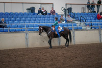 2019 Morgan Horse Show - Aug 31, 2019 - 16305