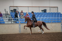 2019 Morgan Horse Show - Aug 30, 2019 - 26491