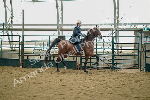 July 21, 2019 - 01719