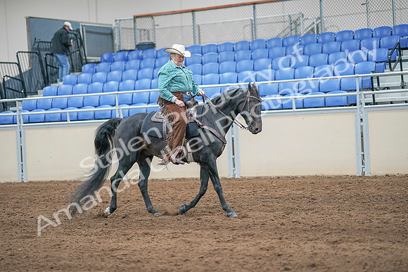 2020 - AB Morgan Horse - Sun, Sept 06 - 01629