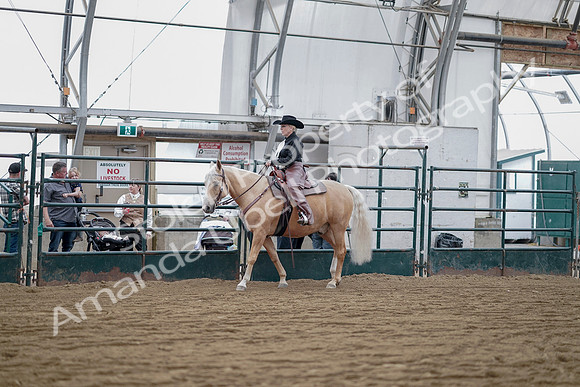 July 21, 2019 - 06515