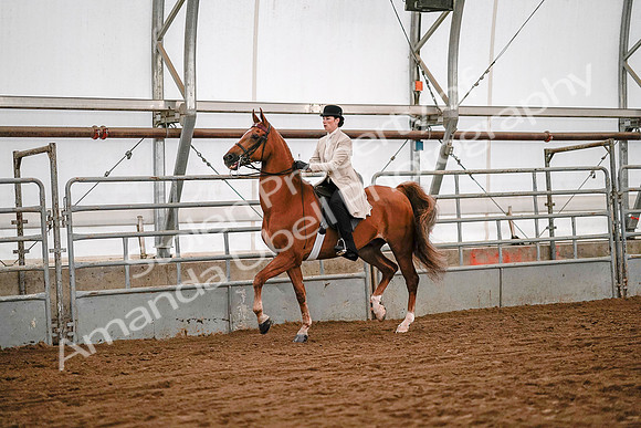 July 19, 2019 - 8998