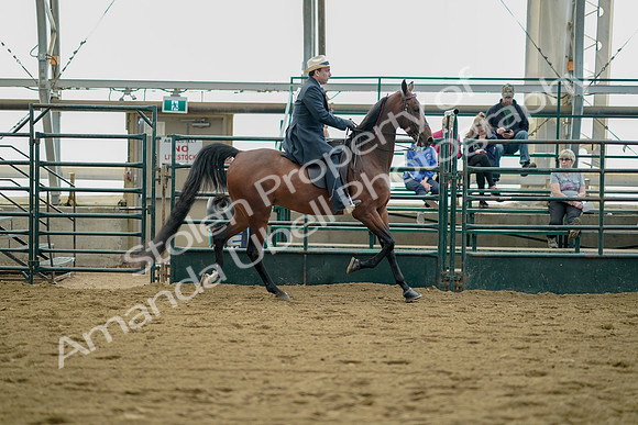 July 21, 2019 - 01741
