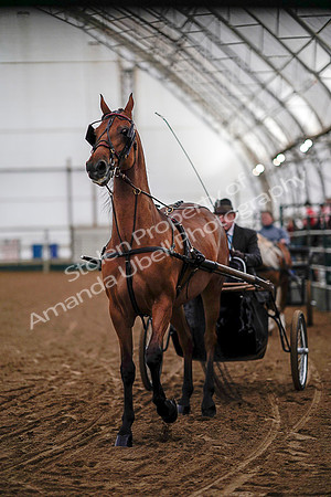 July 19, 2019 - 6749
