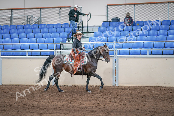 2020 - AB Morgan Horse - Sun, Sept 06 - 01648