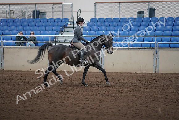 2019 Morgan Horse Show - Sept 01, 2019 - 11034