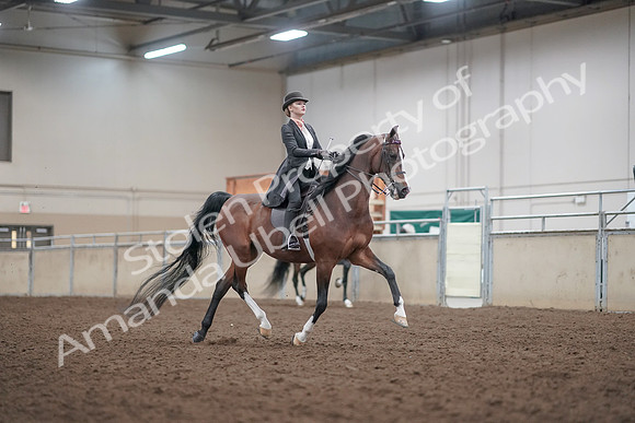 2019 Morgan Horse Show - Aug 31, 2019 - 08886