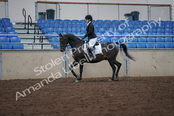 2019 Morgan Horse Show - Aug 30, 2019 - 18390