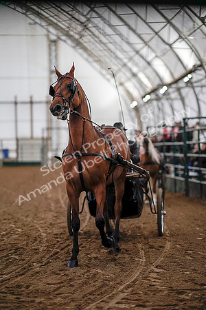July 19, 2019 - 6733