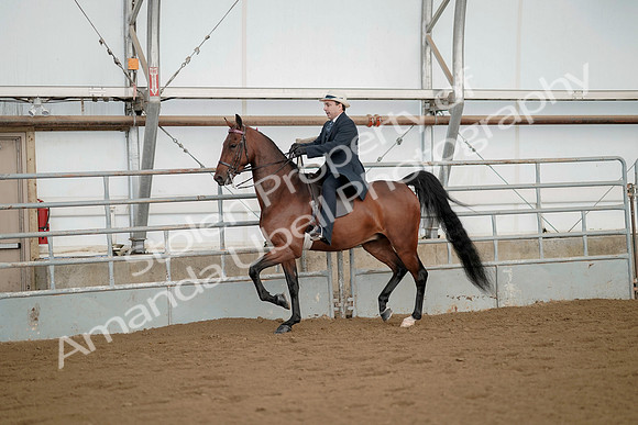 July 21, 2019 - 01656