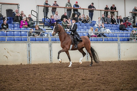 Spring Fling - Saturday - April 20, 2019  -  04393