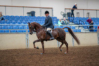 2019 Morgan Horse Show - Aug 30, 2019 - 17246