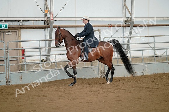 July 21, 2019 - 01555