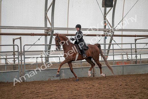 July 19, 2019 - 13153