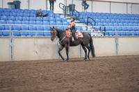 2019 Morgan Horse Show - Sept 01, 2019 - 05722