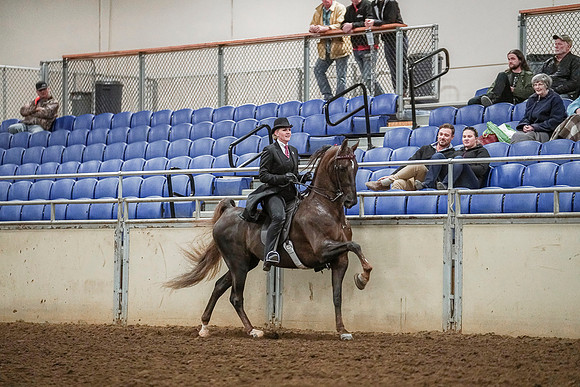 Spring Fling - Saturday - April 20, 2019  -  03606