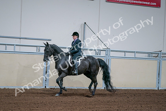 2020 - AB Morgan Horse - Fri, Sept 04 - 01572