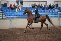 2019 Morgan Horse Show - Aug 31, 2019 - 20361
