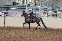 2020 - AB Morgan Horse - Sat, Sept 05 - 04745