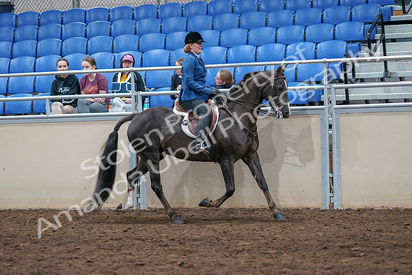 2020 - AB Morgan Horse - Sat, Sept 05 - 05212