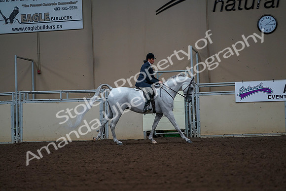 2019 Morgan Horse Show - Aug 30, 2019 - 17567