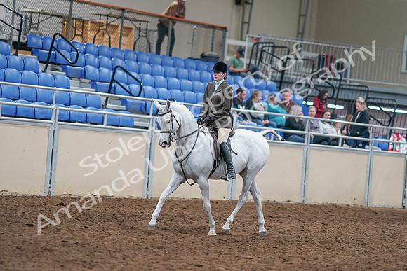 2020 - AB Morgan Horse - Sat, Sept 05 - 14227
