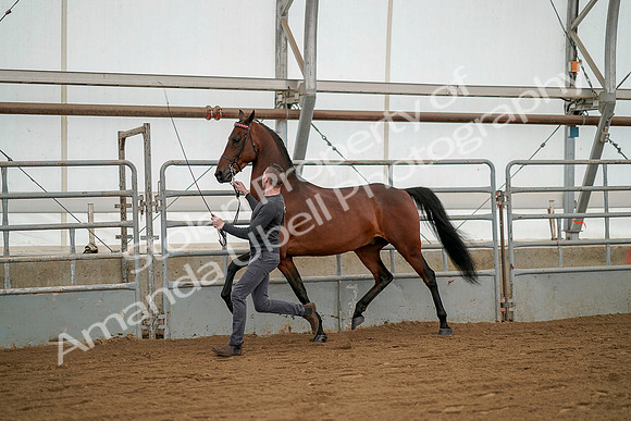 July 19, 2019 - 1254