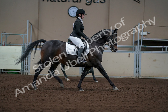 2019 Morgan Horse Show - Aug 30, 2019 - 18487