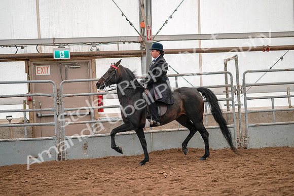 July 19, 2019 - 14100