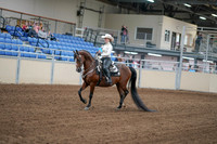 2020 - AB Morgan Horse - Fri, Sept 04 - 08251