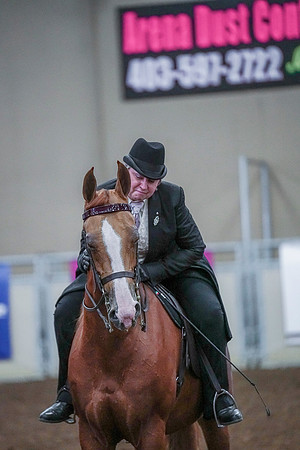 Spring Fling - Saturday - April 20, 2019  -  00859
