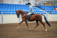 2020 - AB Morgan Horse - Fri, Sept 04 - 01476