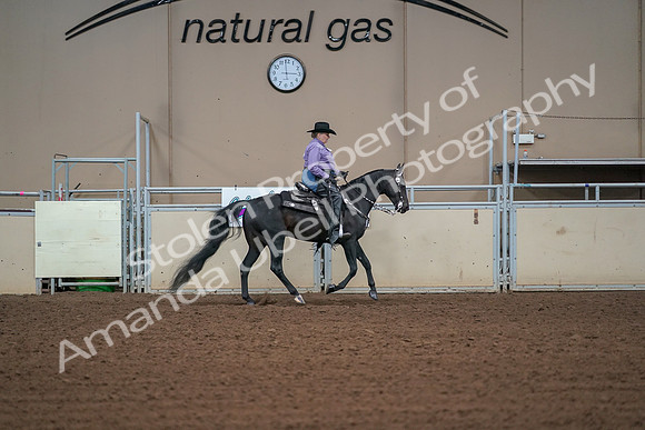 2019 Morgan Horse Show - Aug 30, 2019 - 16985