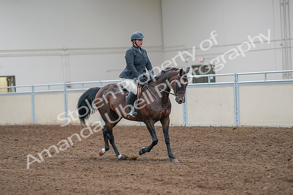 2020 - AB Morgan Horse - Sat, Sept 05 - 09342