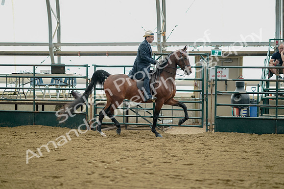 July 21, 2019 - 01725