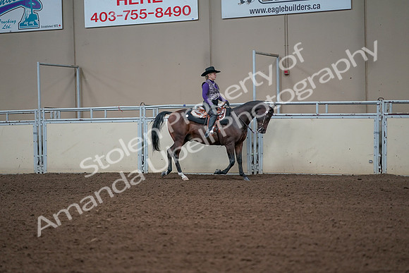 2019 Morgan Horse Show - Aug 31, 2019 - 10737