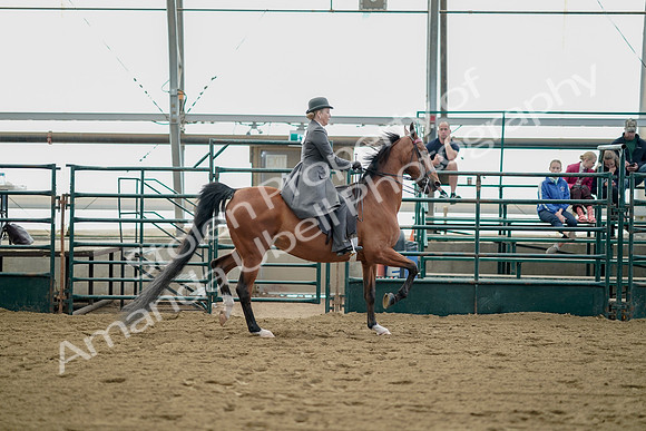 July 21, 2019 - 01838