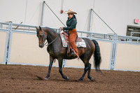 2020 - AB Morgan Horse - Sun, Sept 06 - 01548