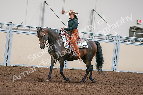 2020 - AB Morgan Horse - Sun, Sept 06 - 01548
