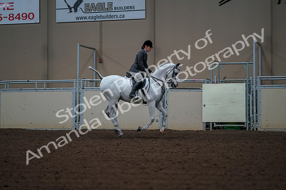 2019 Morgan Horse Show - Aug 30, 2019 - 17620