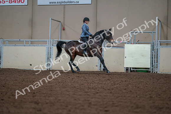 2019 Morgan Horse Show - Aug 30, 2019 - 18593