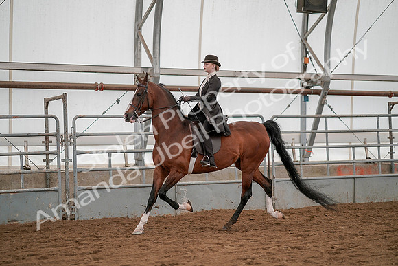 July 19, 2019 - 4228