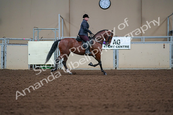 2019 Morgan Horse Show - Aug 30, 2019 - 20700