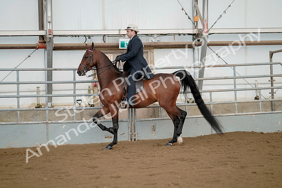 July 21, 2019 - 01676
