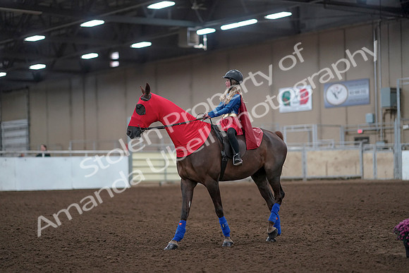 2019 Morgan Horse Show - Aug 31, 2019 - 10072